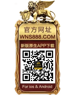 wns888
